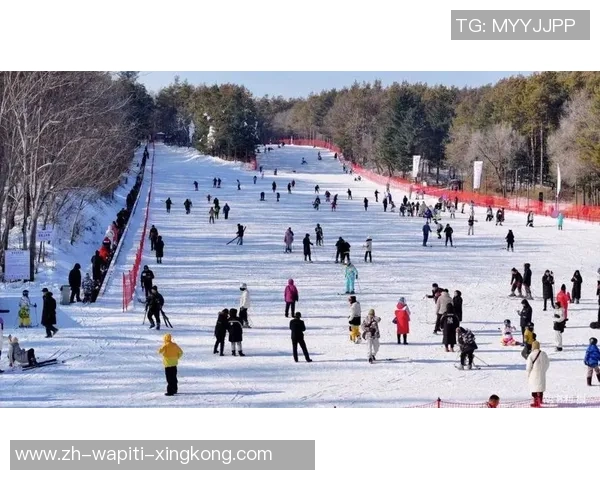 投入620万元推动全链条提档晋级,更安全、更专业、更舒适,净月潭滑雪场焕新晋级等你来! 投入620万元推动全链条提档晋级,更安全、更专业、更舒适,净月潭滑雪场焕新晋级等你来!